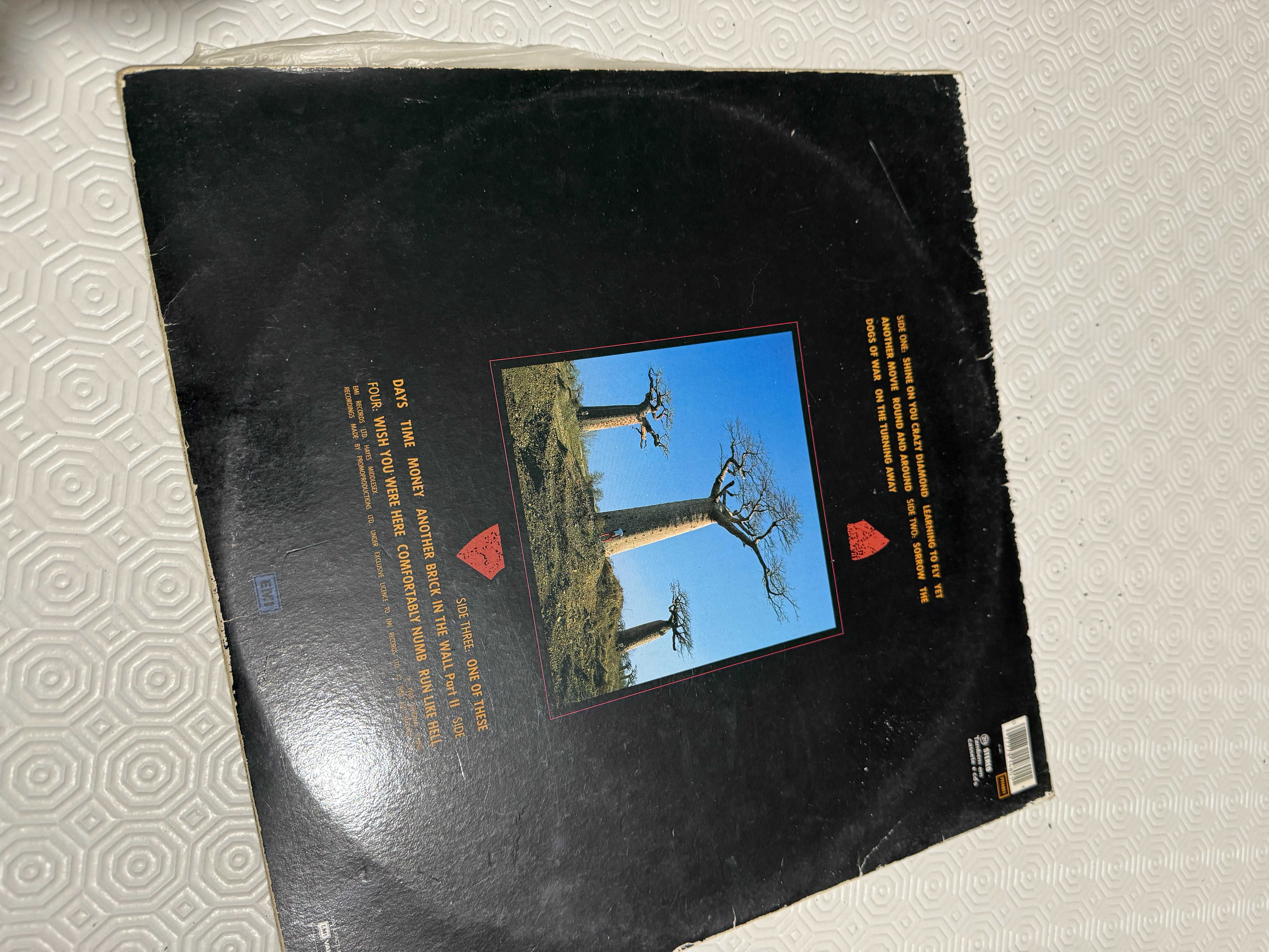 Vendo Pink Floyd Delicate Sound of Thunder + Live