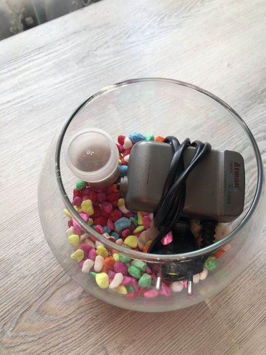 Продам , лот дя домашніх улюблеців