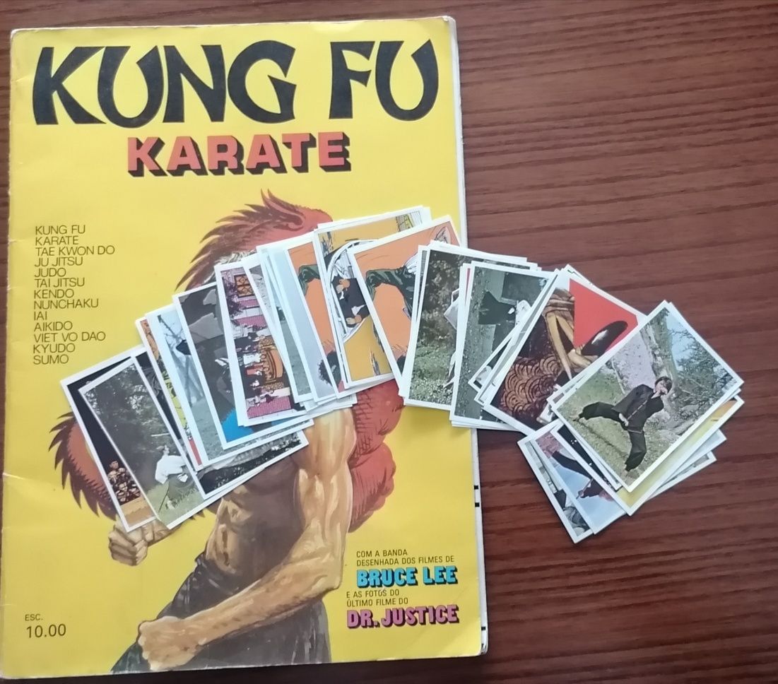 Caderneta kung fu