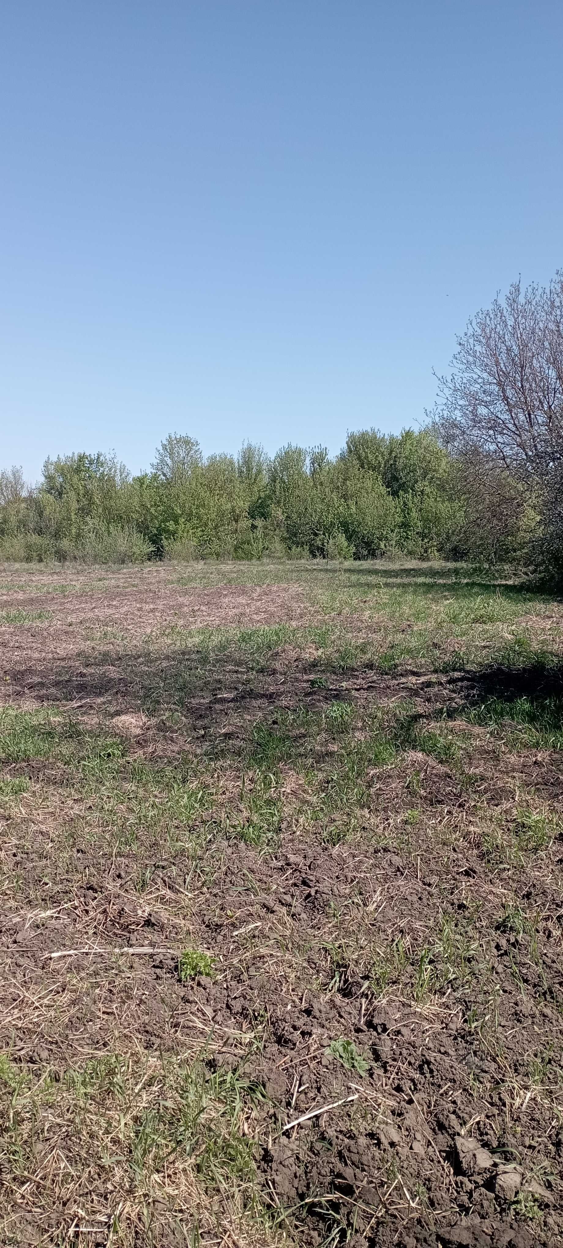 Продам будинок із земельною ділянкою Липовецький р-н, від Власника