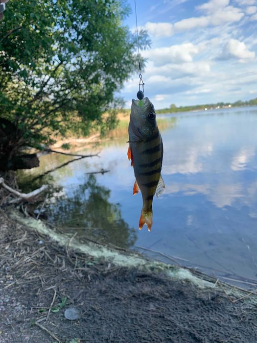 Domek nad jeziorem - mazury / jacuzzi / sauna / kominek / las / cisza