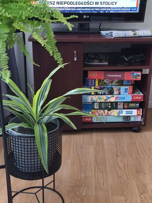 Oddam za darmo meble stół szafa półka pod tv