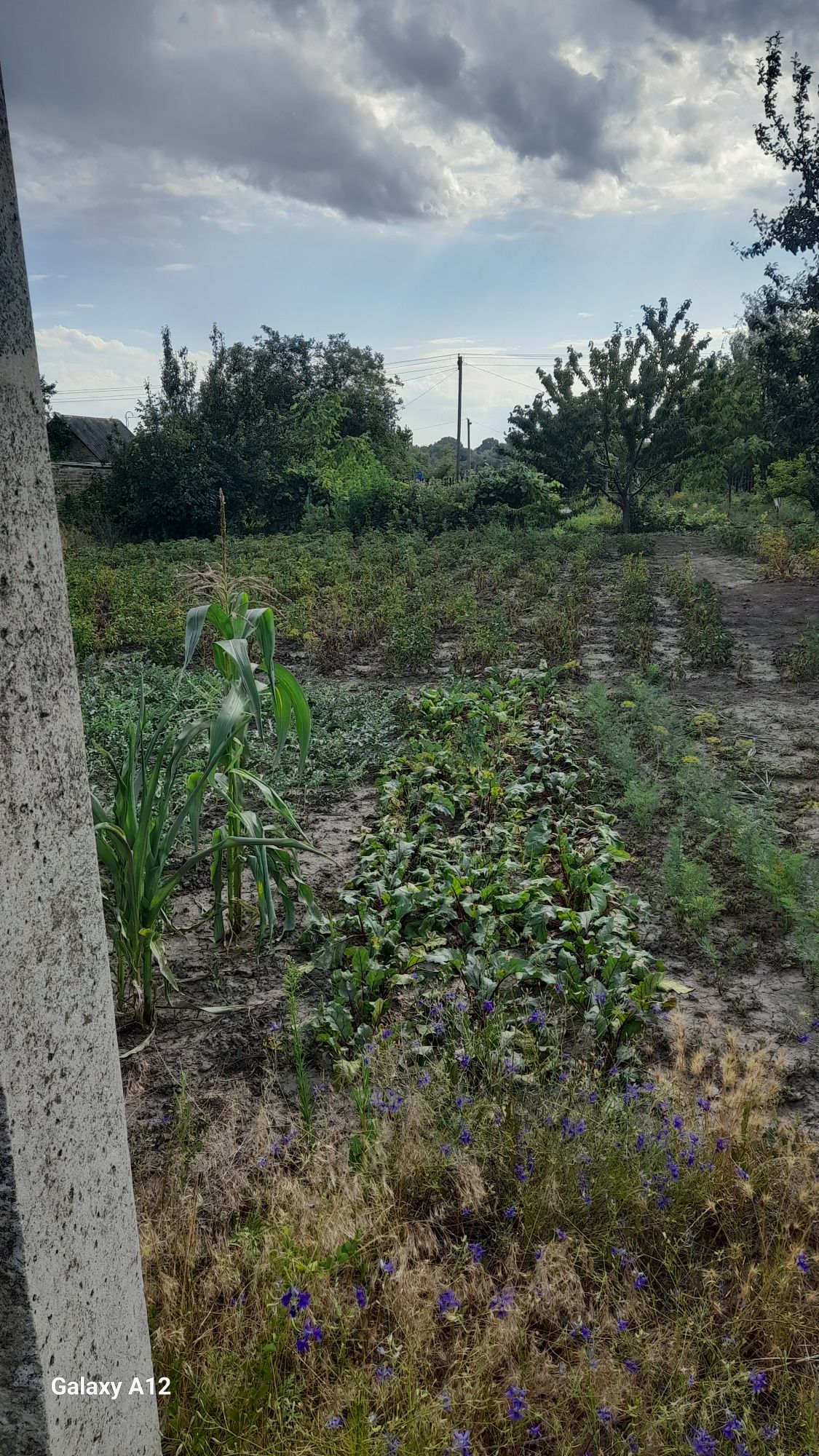 Продам дачу в р-н ФДБ.