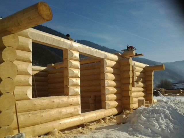 Деревяні будинки і бані із дикого зрубу