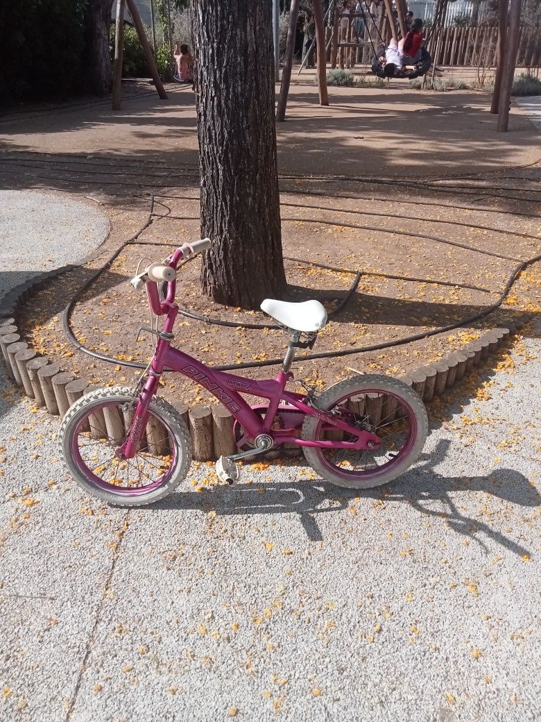 Bicicleta de criança
