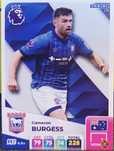Karta kolekcjonerska Panini Adrenalyn XL Premier League nr 178 Cameron