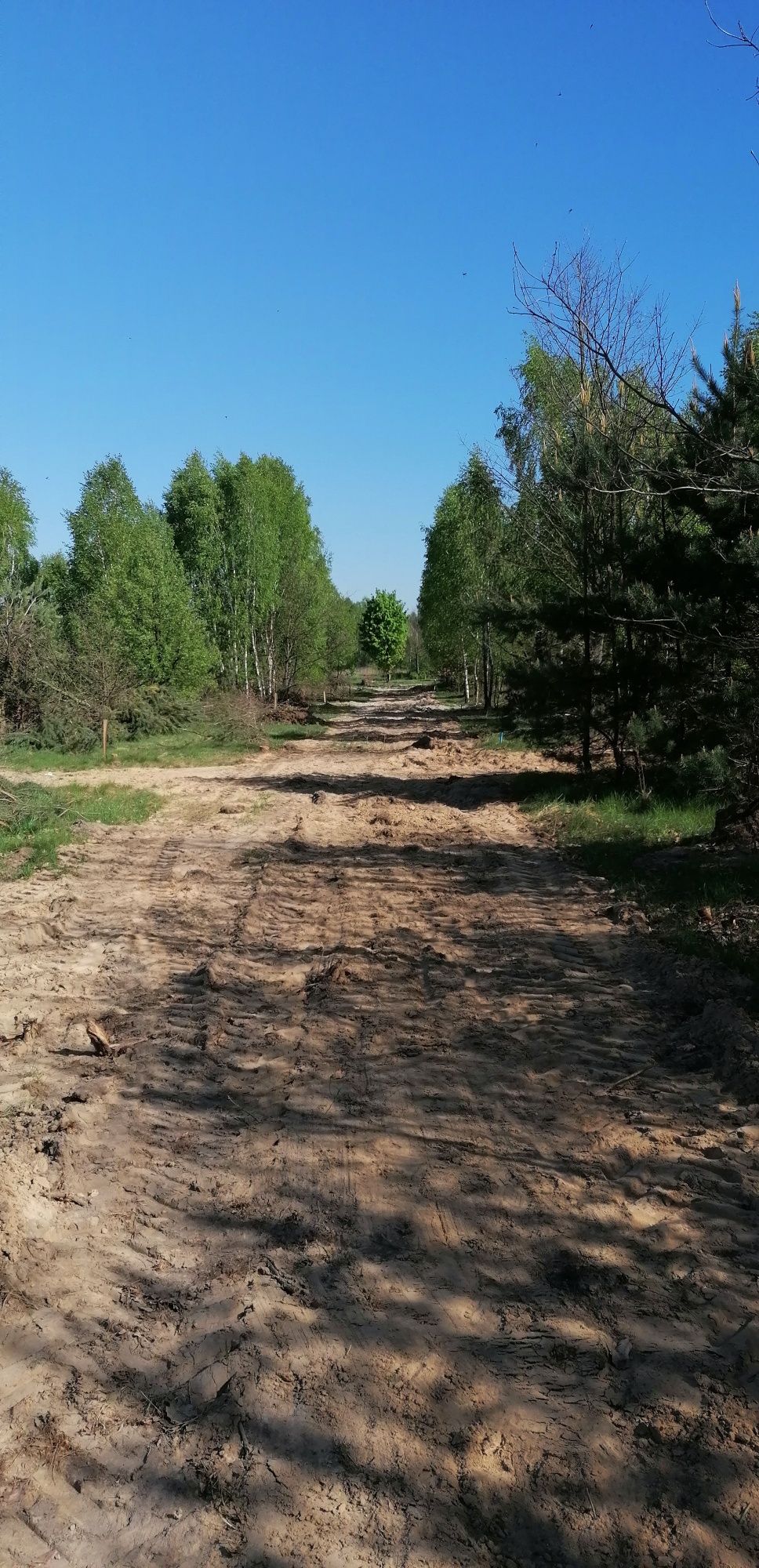 Działka budowlana uzbrojona, Przytoka, powiat miński. Warunki zabudow