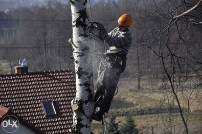 podnośnik koszowy zwyżka dźwig 20 m 30 m wycinka