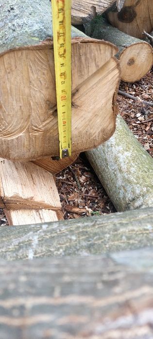 Orzech pień i konary