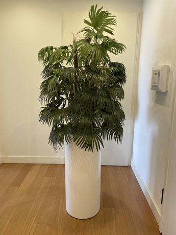 Conjunto de vaso grande decorativo + planta artificial