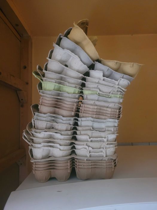 Wytłaczanki na jajka 30 szt