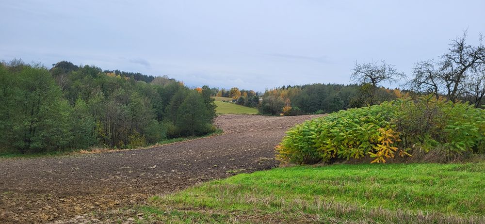 Dom Siedlisko Gospodarstwo Rolne Kociewie