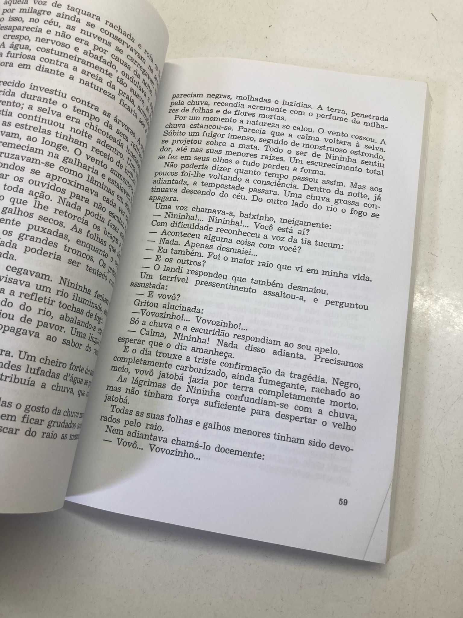 Livro - Rosinha, Minha Canoa (ctt editorial grátis)