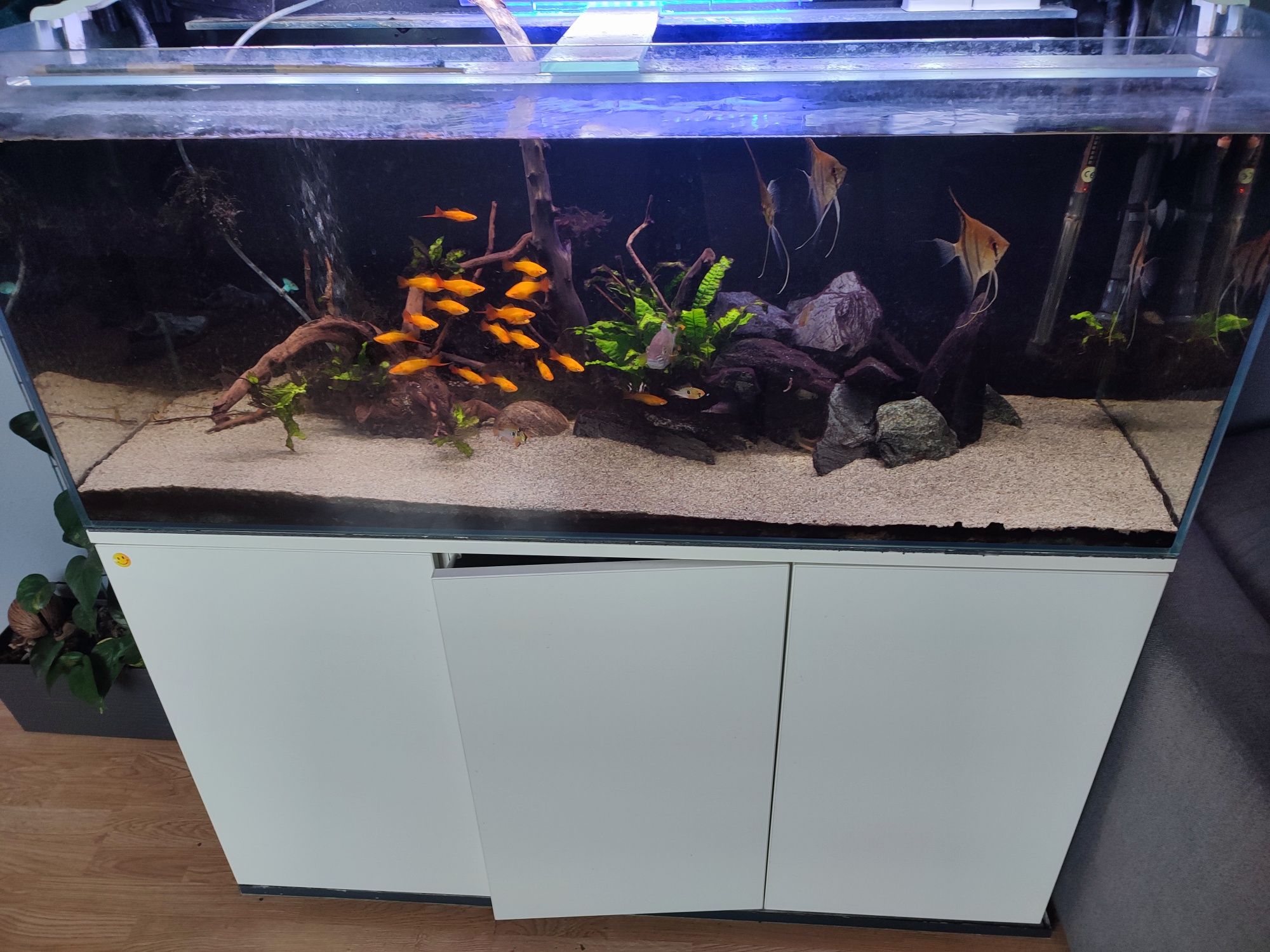 Akwarium 240l 120x40x50 zestaw całość