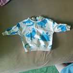 Bluza hema 62 dinozaury