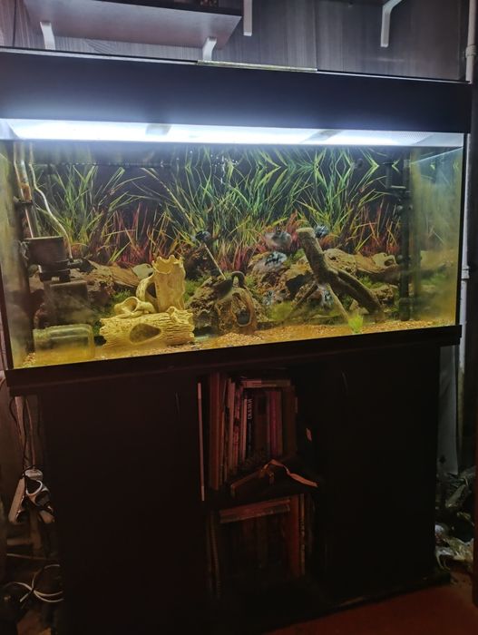 Продам аквариум на 200 литров. Рабочий