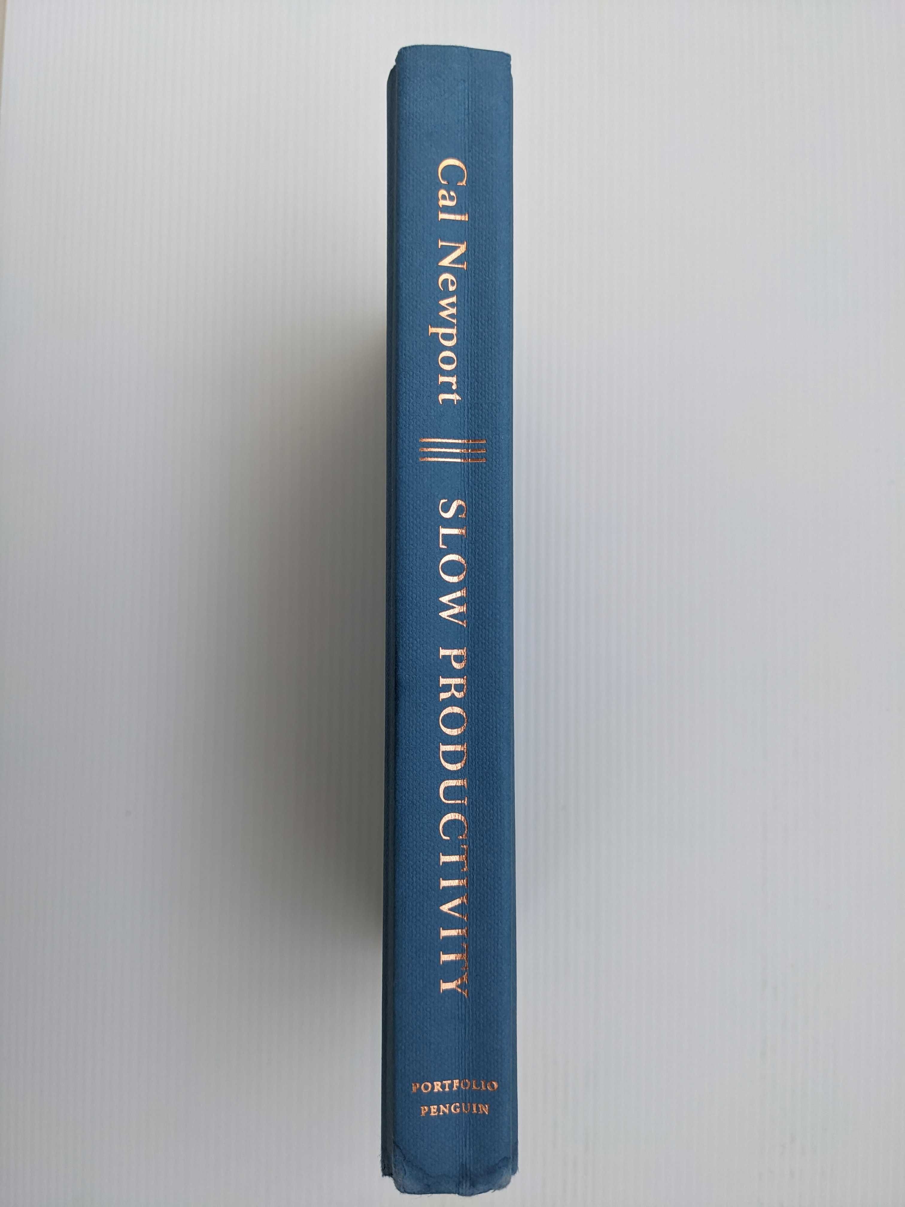 Slow Productivity. Cal Newport - Livro usado, capa dura