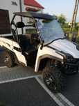 Buggy Linhai Jobber