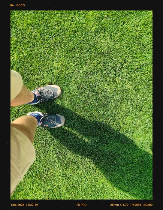 Projektowanie ogrodów Zakładanie ogrodów Usługi ogrodnicze Trawniki