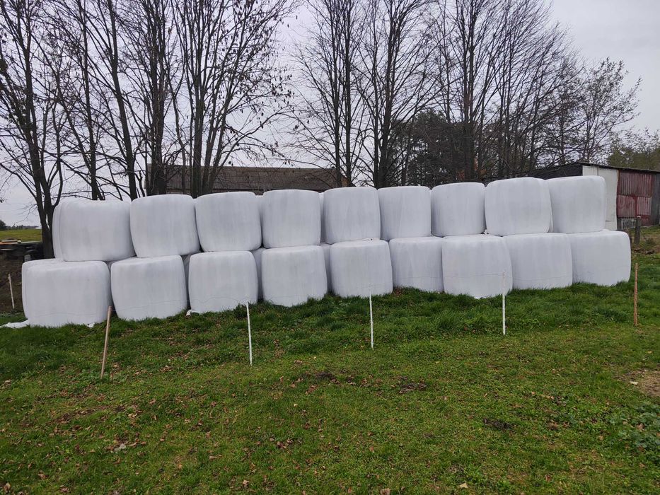 Belę sianokiszonki 130