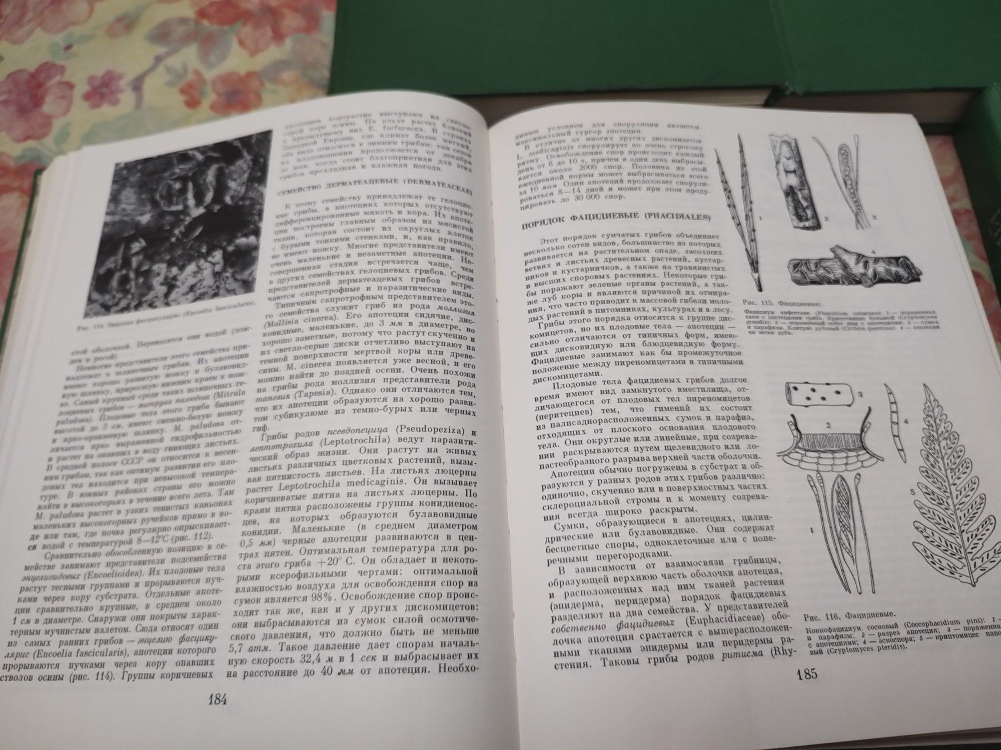 Енциклопедія життя рослин в 5 томах