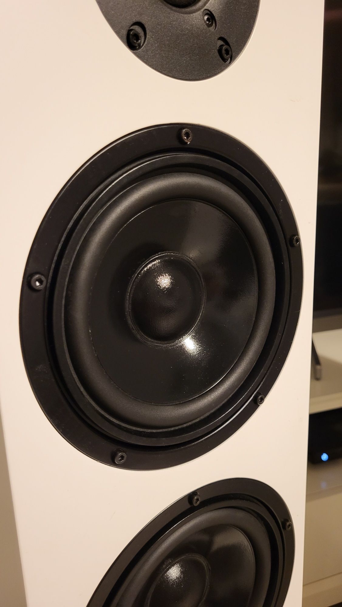 Kolumny Hi-End DIY Visaton Scan Speak Jantzen Audio