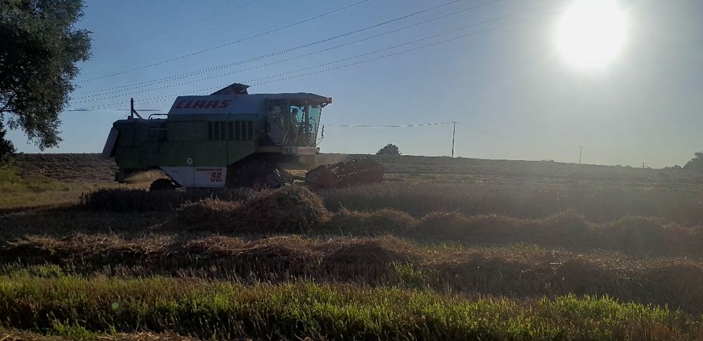 Sprzedam claas dominator 98s.