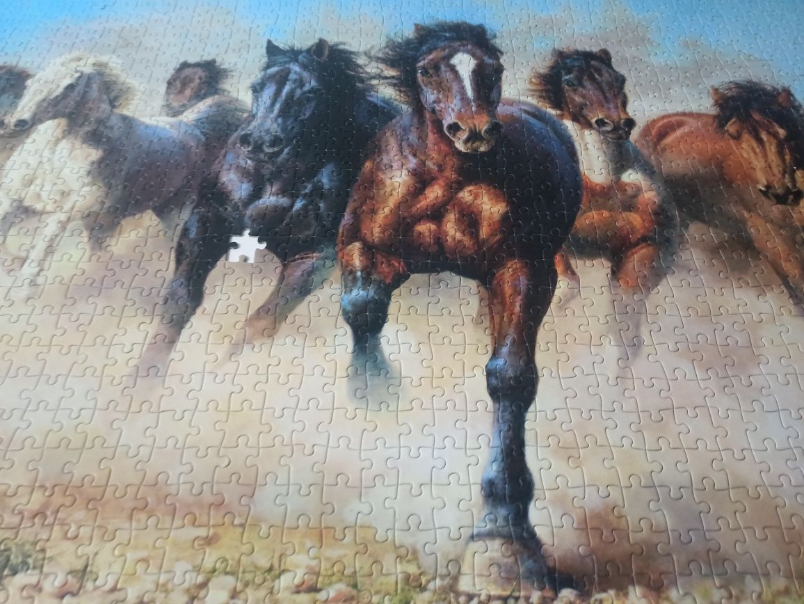 Puzzle Castorland Thunder and Dust zielona seria