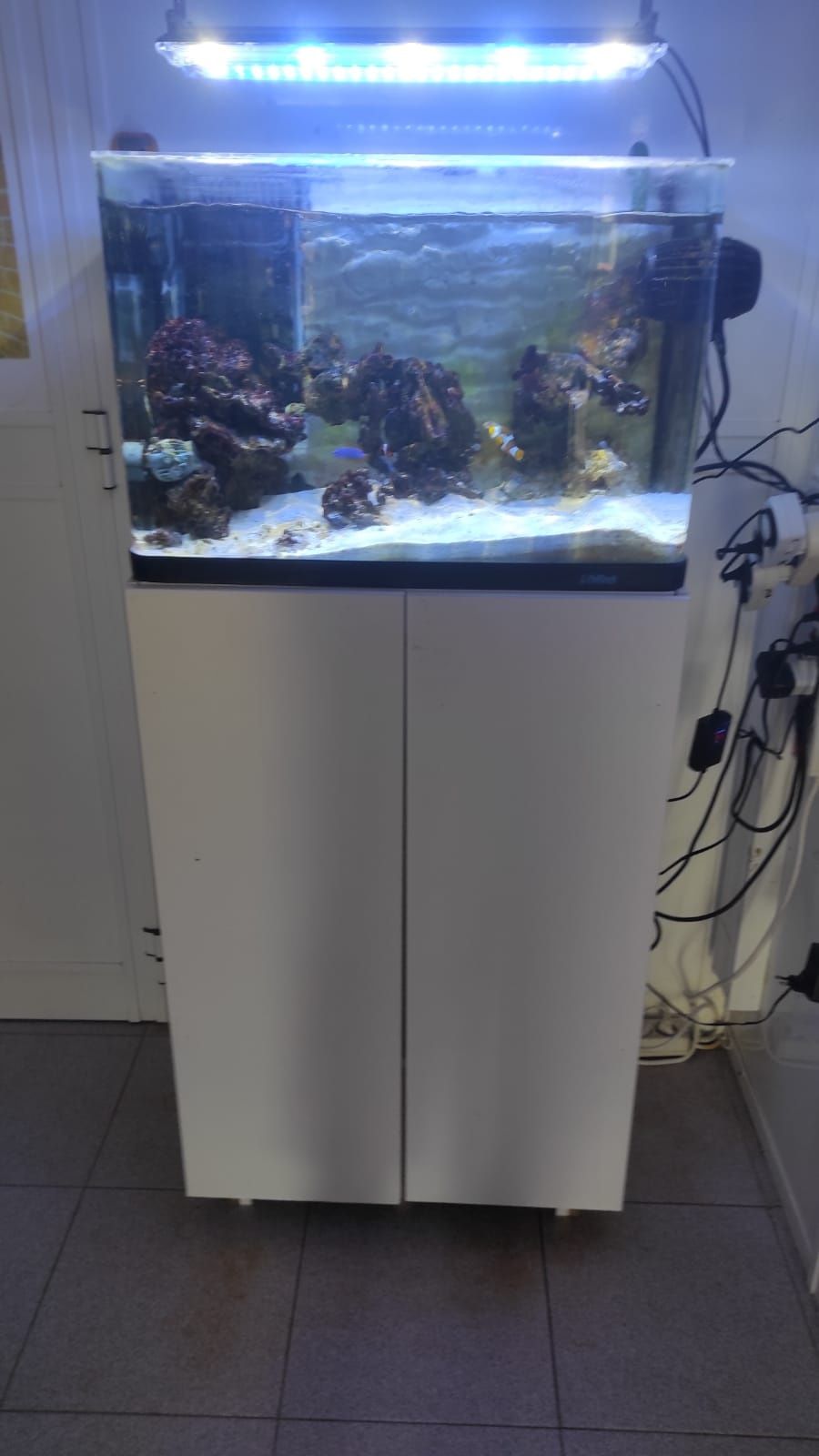 Aquário Água Salgada 60 litros