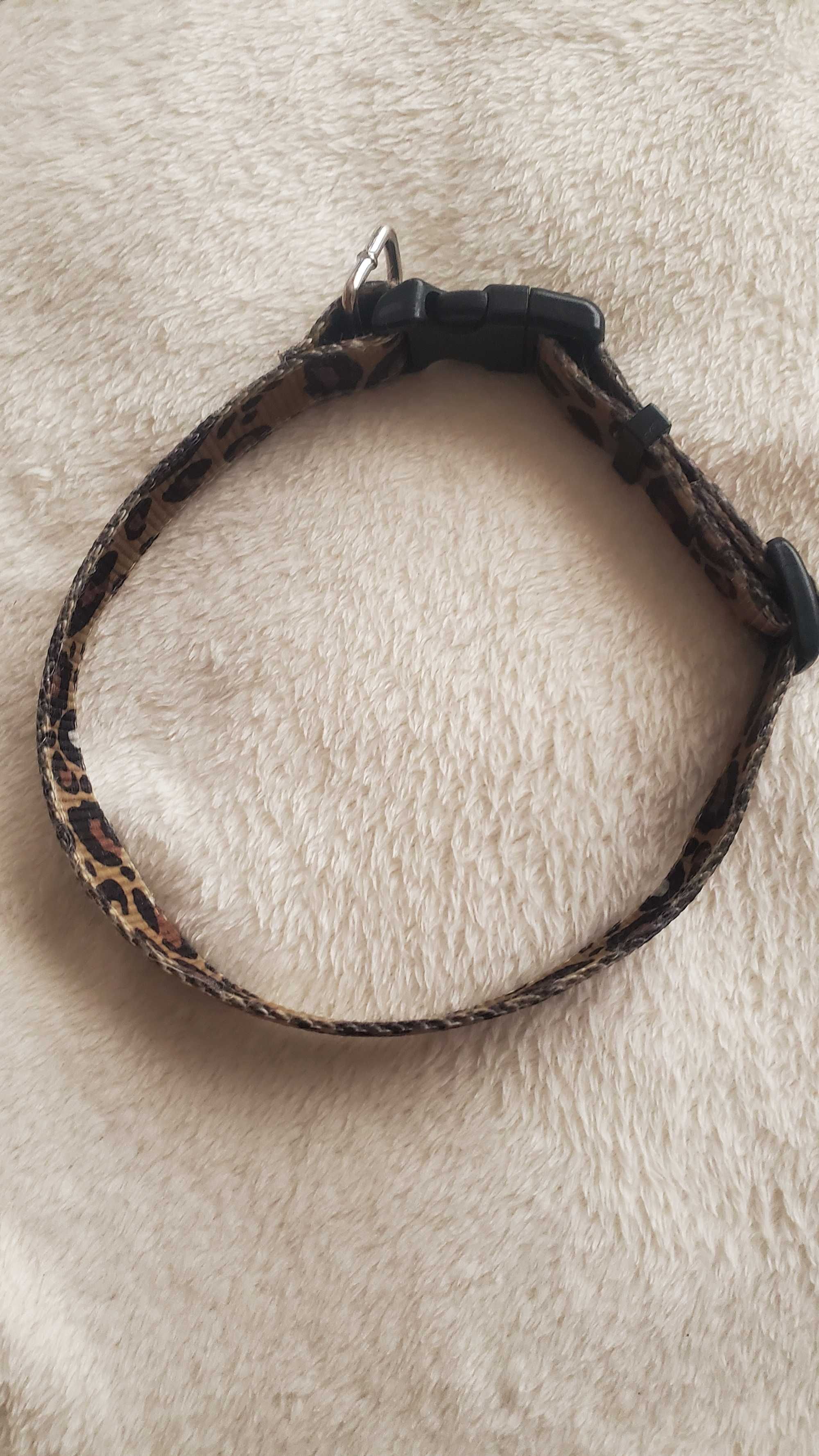 Coleira tigresa cão