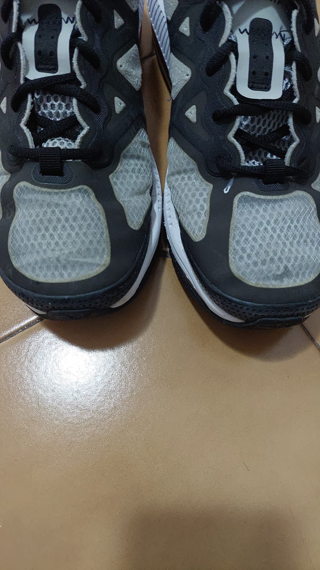 Nike Air Max Genome