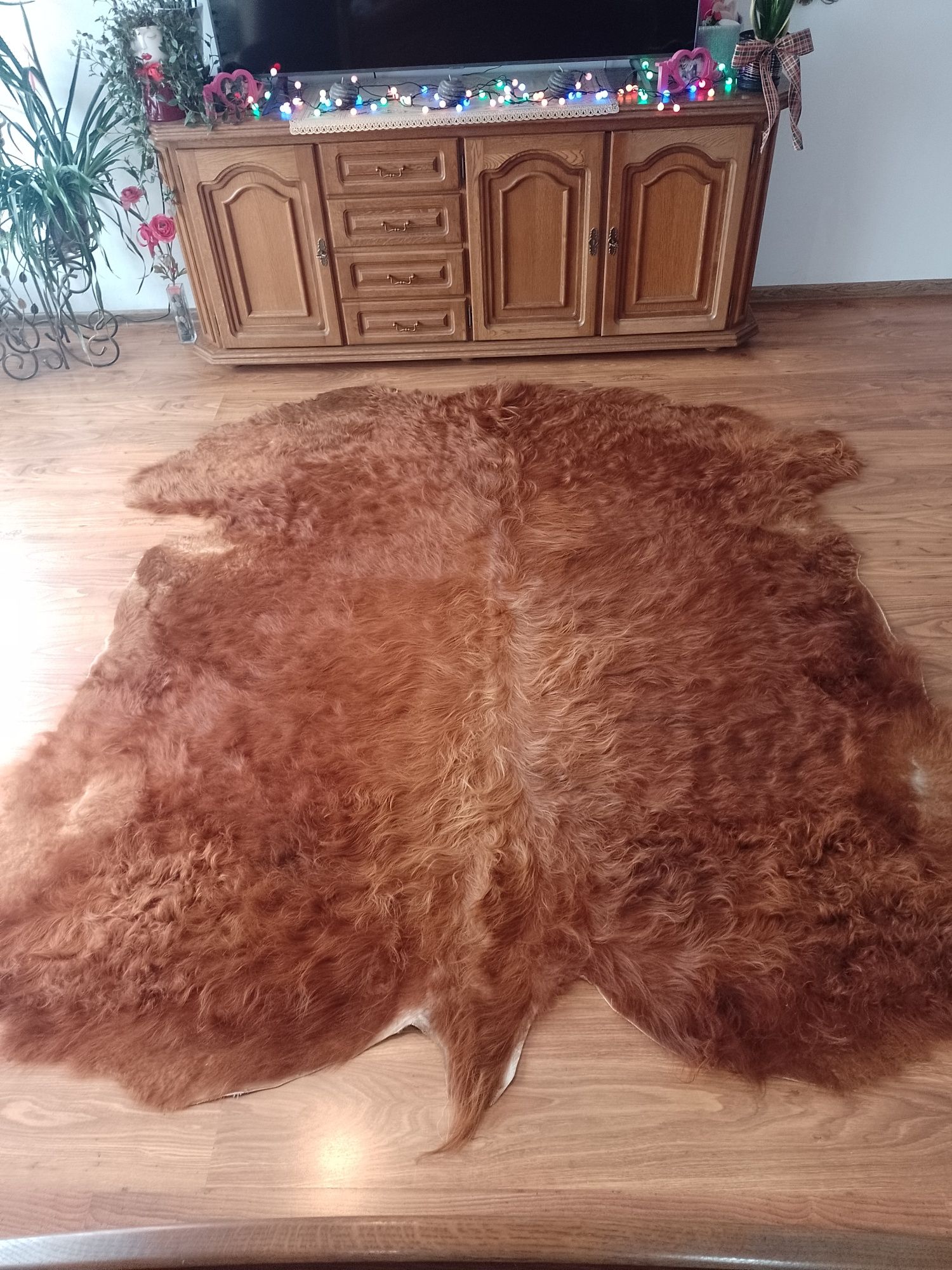 Skóra bydlęca highland cattle