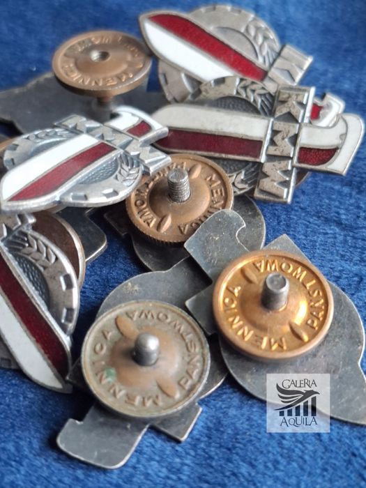 Odznaka Koło Młodzieży Wojskowej - LWP odznaki do 1973 roku (cena za s