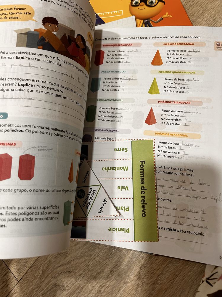 Manual e livros de fichas Matematica 3 ano - PLIM