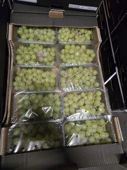 Oddam pokarm dla zwierząt