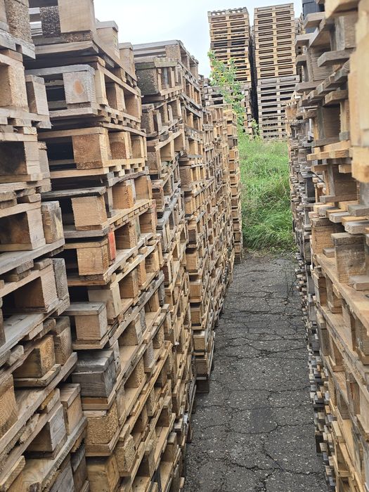 Palety 1200x800, palety jednorazowe