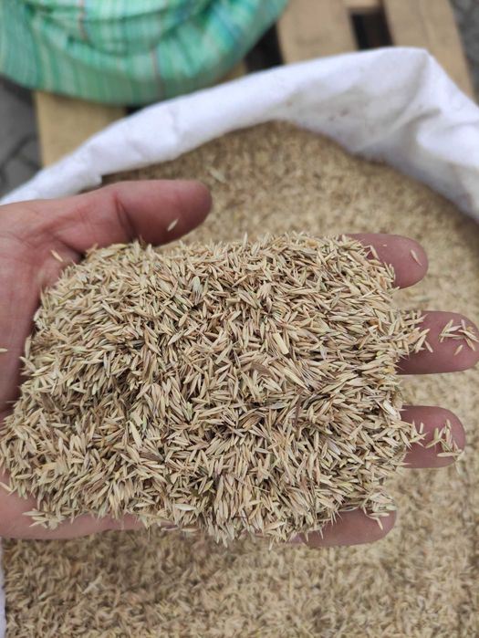 Kupkówka i mieszanka traw