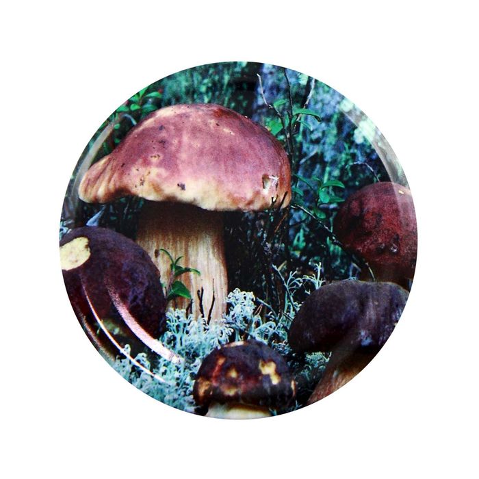 100 szt.  Zakrętka 82/6 GRZYBY MIX