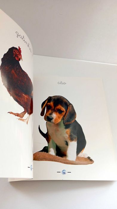 Lua Cheia - 1/2 anos (livro de imagens Nº 2)