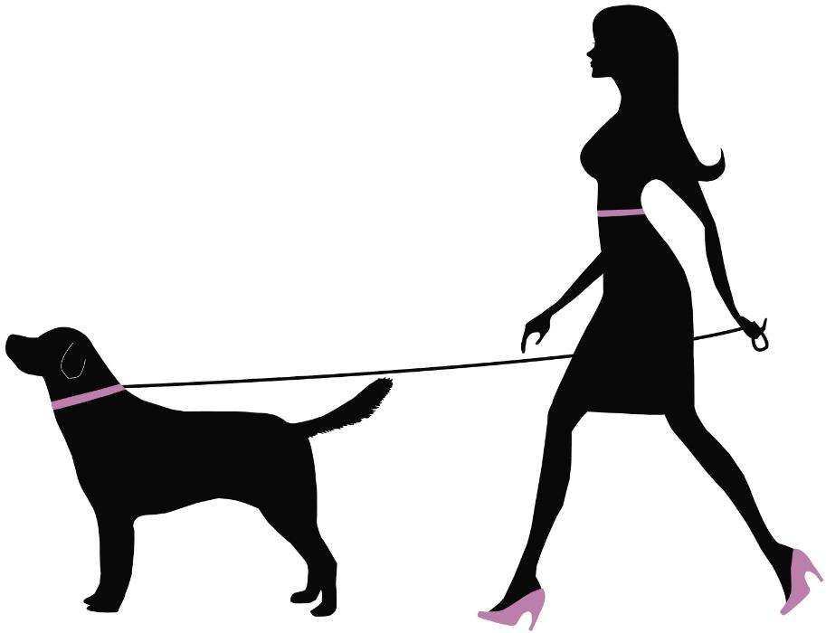 Dog Walking - Passeio Cães Cacém / Massamá