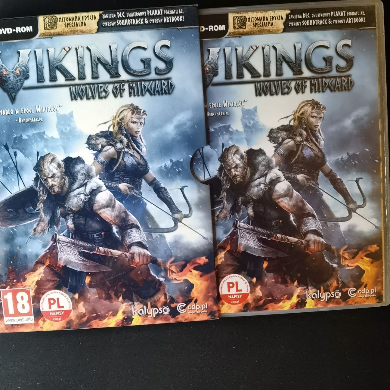 Vikings Wolvea of Midgard PC Polska edycja