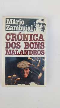 Cronica dos bons malandros de Mário Zambujal