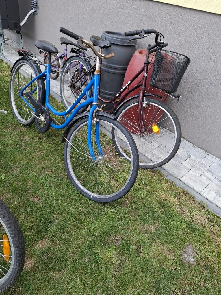 Pakiet rowerów lub pojedynczo cena za wszystkie