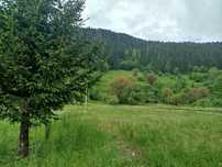 Земля в Карпатах, біля лісу, річки, дорога для легкових