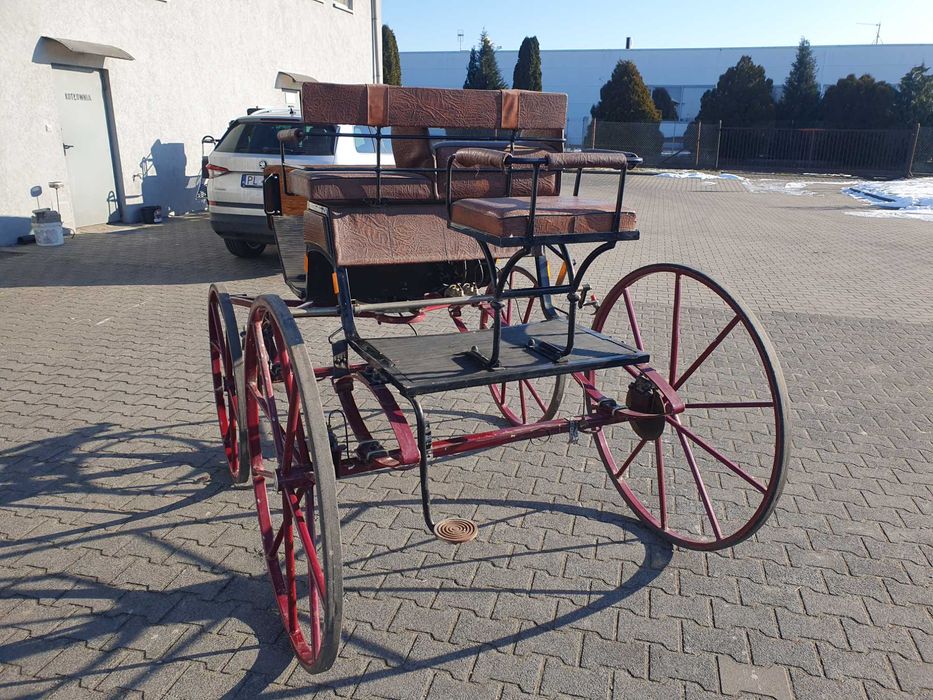 Bryczka spaider powóz  treningowy para i singiel