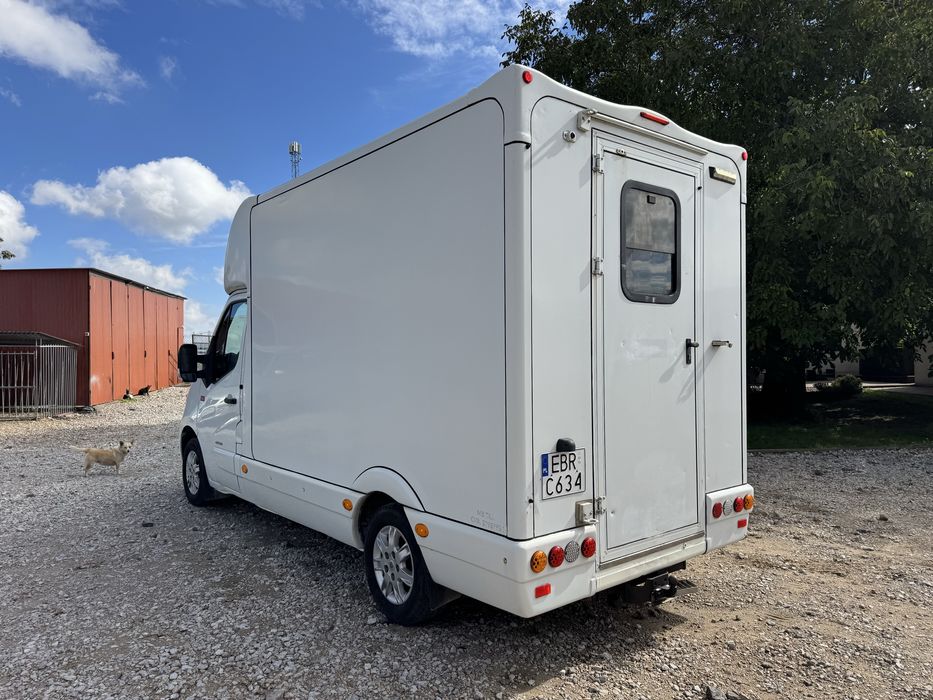 Renault Master koniowóz 2.3 diesel 165 KM do przewozu koni zwierzat FV