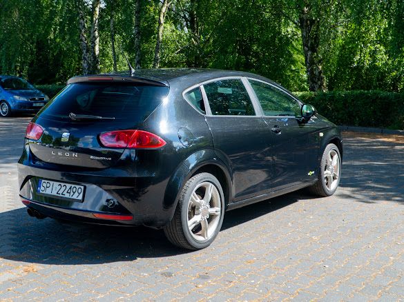 Seat Leao wersja Copa