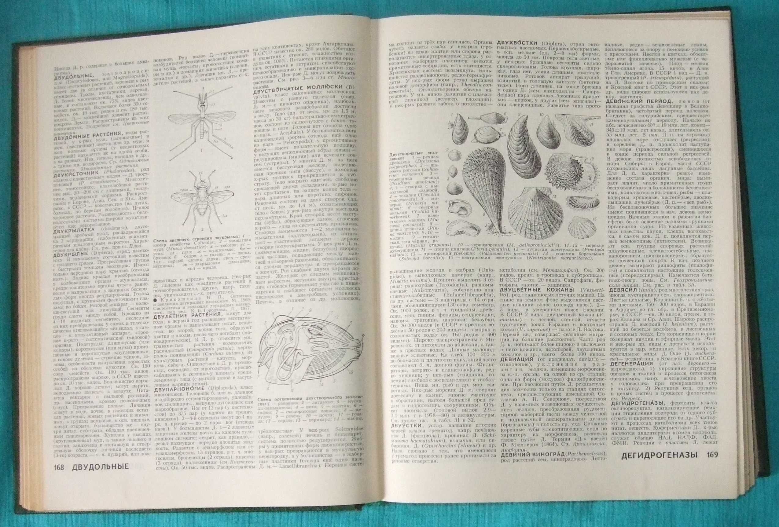 Биологический энциклопедический словарь (1986 г.)