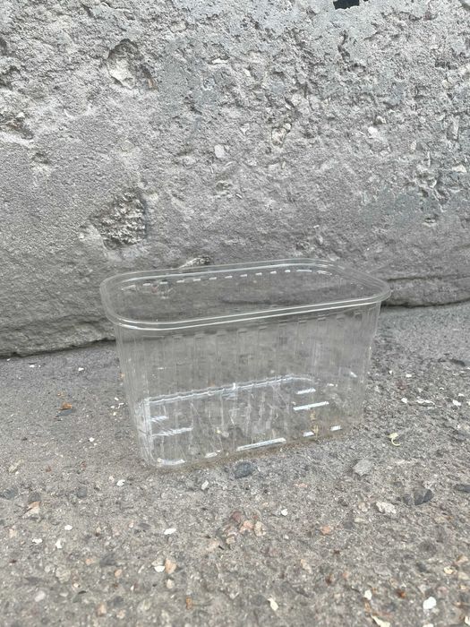 Лотки для ягід 0,5 кг та 1 кг пінетка клубника суниця малина