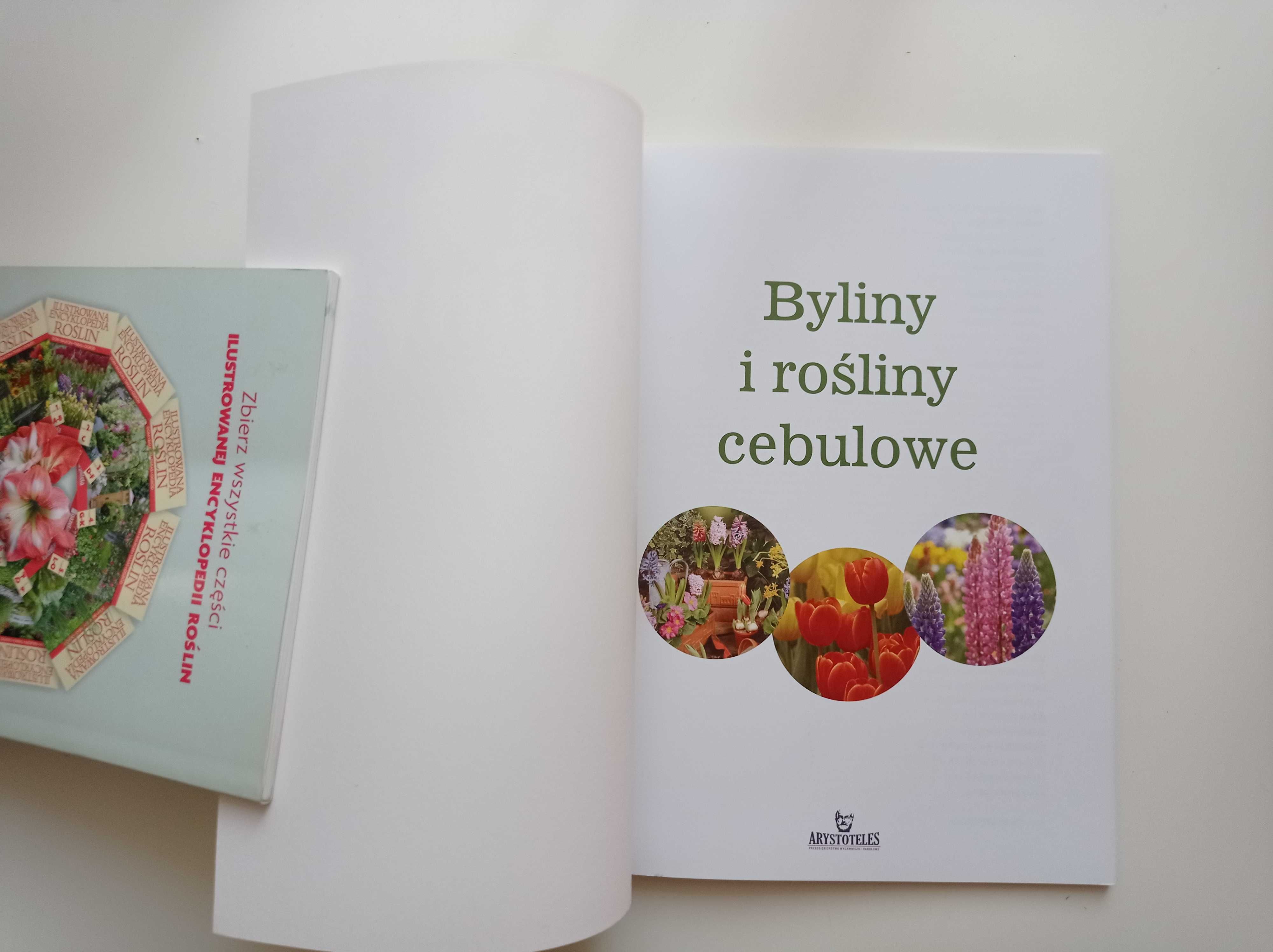 Jadwiga Wilder Byliny i rośliny cebulowe Arystoteles NOWA